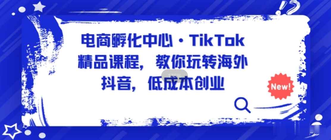 电商孵化中心·TikTok精品课程，教你玩转海外抖音，低成本创业，带您从0开始玩转TikTok