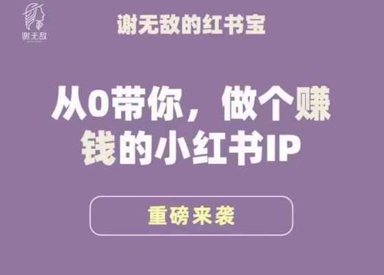 小红书运营大宝典，从0带你做个赚钱的小红书IP