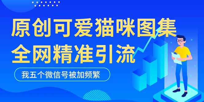 黑科技纯原创可爱猫咪图片，全网精准引流，实操5个VX号被加频繁