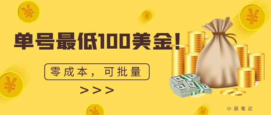 单号最低100美金，零成本，小白无脑操作。可复制，可扩大。