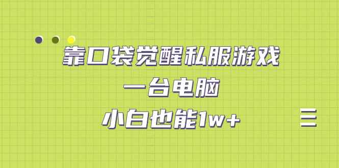 靠口袋觉醒私服游戏，一台电脑，小白也能1w+（教程+工具+资料）